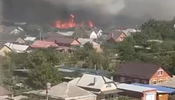 Камыш загорелся на площади 1,5 тыс "квадратов" в Ростовской области
