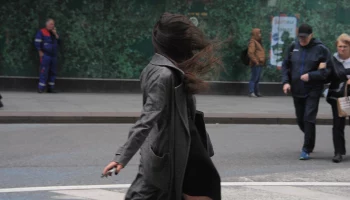 Москвичей предупредили об опасном усилении ветра 3 апреля