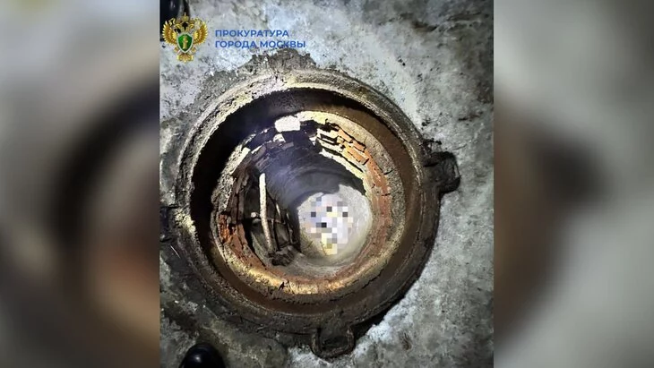 Человеческие останки обнаружены на юге Москвы Человеческие останки обнаружены на юге Москвы