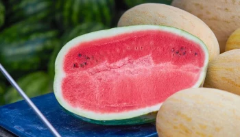 Минсельхоз РФ прогнозирует стабильную ситуацию с ценами на арбузы и дыни