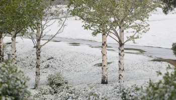 &laquo;Фобос&raquo;: Метеорологическая весна в столице начнется на 10 дней раньше срока