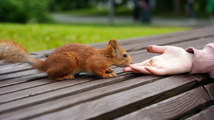 Синоптики предупредили москвичей о жаркой малооблачной погоде 9 июля Синоптики предупредили москвичей о жаркой малооблачной погоде 9 июля