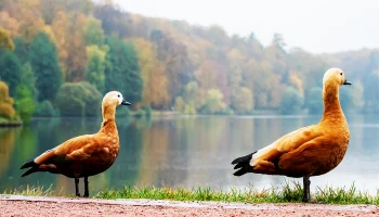 Синоптик Леус назвал самый холодный день на этой неделе в Москве