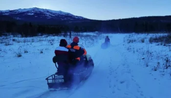 Кинолог Круглов: пропавшая с Усольцевыми собака не смогла бы их вывести из тайги