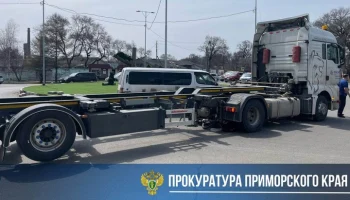 Грузовик насмерть сбил школьника на пешеходном переходе в Уссурийске