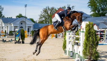 Открытый московский фестиваль конного искусства и спорта пройдет на ВДНХ