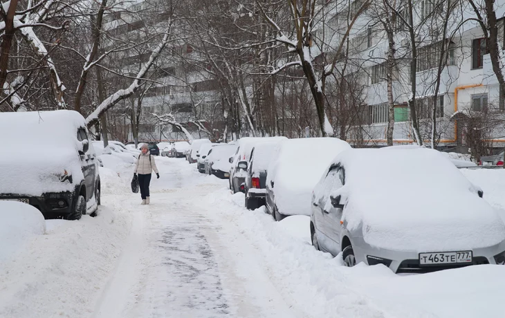 МЧС предупредило москвичей о мокром снеге и сильном ветре до утра 18 февраля