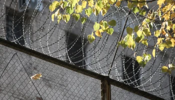 Фигурант дела Долиной участвовал в афере с квартирой после выхода из колонии