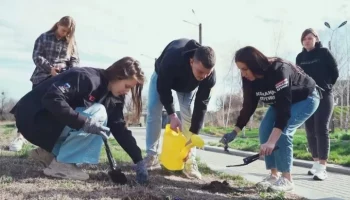 Акция по высадке цветов в память о погибших в "Крокусе" прошла в РФ 31 марта