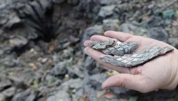 ВСУ обстреляли Шебекино Белгородской области