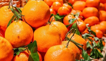 Участники московских ярмарок отправили новогодние подарки бойцам СВО