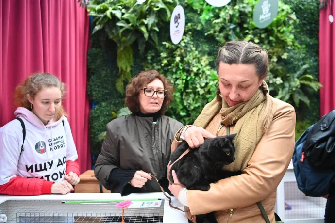 Одиннадцать хвостиков обрели дом: как прошел первый день спецпроекта «Моспитомец х Четвероногий друг» на Тверском бульваре