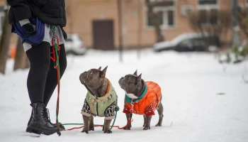 &laquo;Желтый&raquo; уровень опасности продлили в столице до вечера 6 февраля