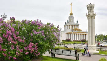 Синоптики пообещали москвичам до 24 градусов тепла в пятницу