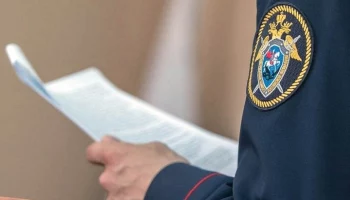 СК РФ установит причастных к гибели фотокорреспондента Цицаги после обстрела в ДНР