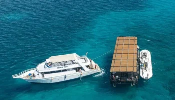 При крушении батискафа в Египте погибли шесть граждан России