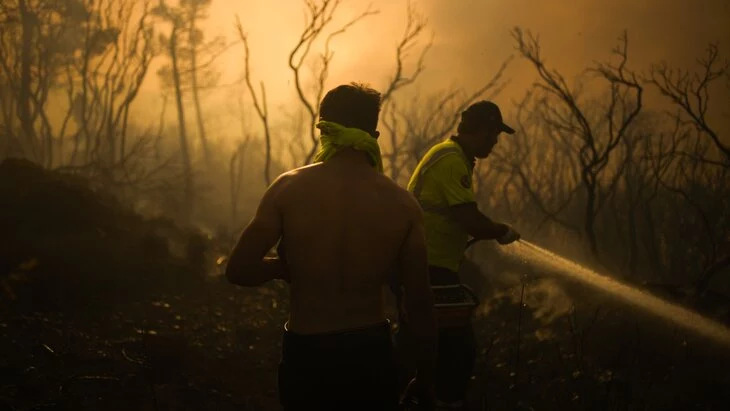 Лесные пожары охватили три провинции Турции Лесные пожары охватили три провинции Турции