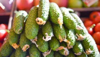 Самые дешевые огурцы можно было найти в Адыгее в январе
