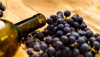 Подмосковье войдет в список винодельческих регионов России в 2026 году