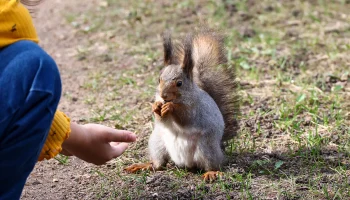 Синоптик Леус рассказал, когда в Москве потеплеет до плюс 16 градусов