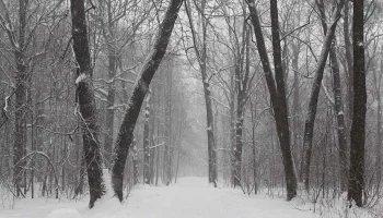 Индивидуальный забег и семейный квест: программа Дня ориентирования в &laquo;Кузьминках-Люблино&raquo;