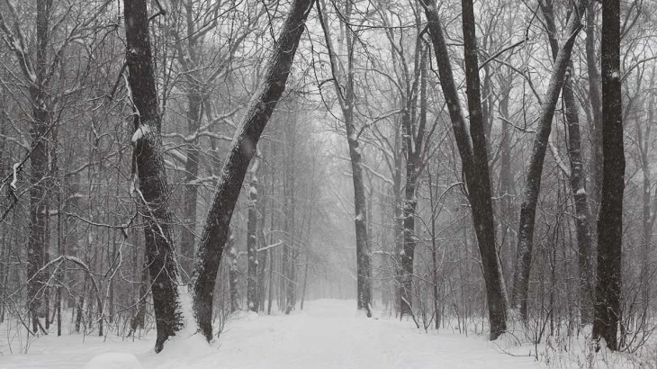 Индивидуальный забег и семейный квест: программа Дня ориентирования в «Кузьминках-Люблино» Индивидуальный забег и семейный квест: программа Дня ориентирования в «Кузьминках-Люблино»