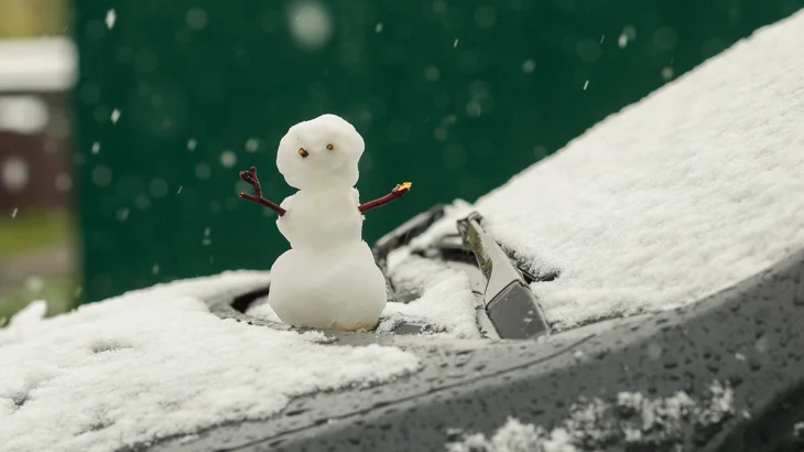 Синоптик Позднякова: Снежный покров вряд ли образуется в столичном регионе снова Синоптик Позднякова: Снежный покров вряд ли образуется в столичном регионе снова