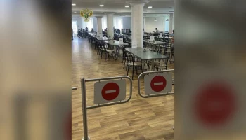 Роспотребнадзор: причиной отравления детей в парк-отеле в Истре стал ротавирус