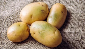 В России предложили создать единый бренд картофеля