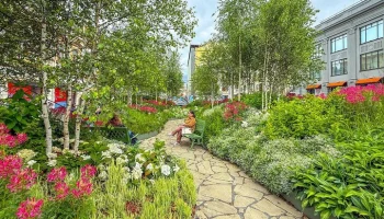 Собянин: в этом году столицу украсили 53 млн цветов