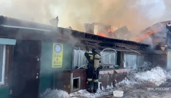 На Сахалине загорелся приют для животных