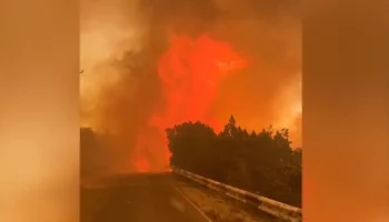 Площадь пожара в районе хутора Дюрсо увеличилась до 62 гектаров