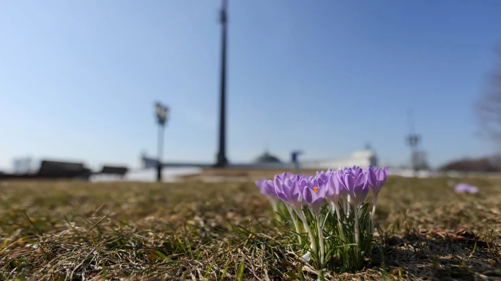 Синоптик Тишковец: Снежный покров сошел в Москве Синоптик Тишковец: Снежный покров сошел в Москве