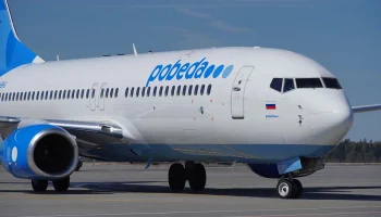 &laquo;Победа&raquo; разрешила перевозить питомцев в салоне самолета