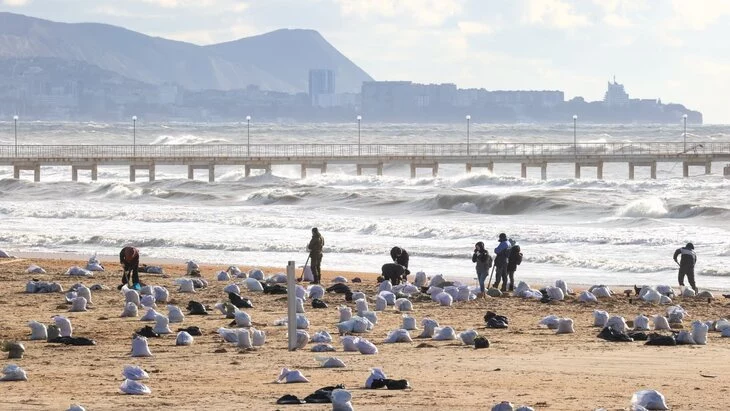 Выброшенный на побережье Кубани мазут планируется убрать до 1 февраля Выброшенный на побережье Кубани мазут планируется убрать до 1 февраля