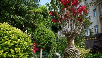 Фестиваль "Сады и цветы" стал ориентиром для оформления столичного бизнеса