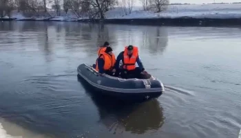 Оперативные службы установили личности двух найденных в Звенигороде детей