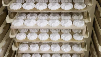 Адвокат Батурина рассказала, как пострадавшие из-за зефира могут получить компенсацию