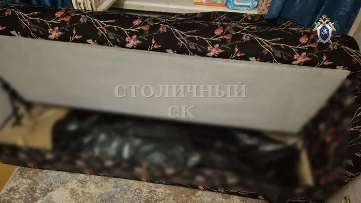 Полиция задержала соучастника убийства женщины на юго-востоке Москвы Полиция задержала соучастника убийства женщины на юго-востоке Москвы