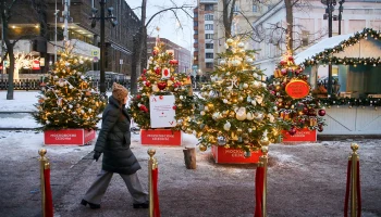 &laquo;Зима в Москве&raquo;: что ждет посетителей парков накануне Нового года