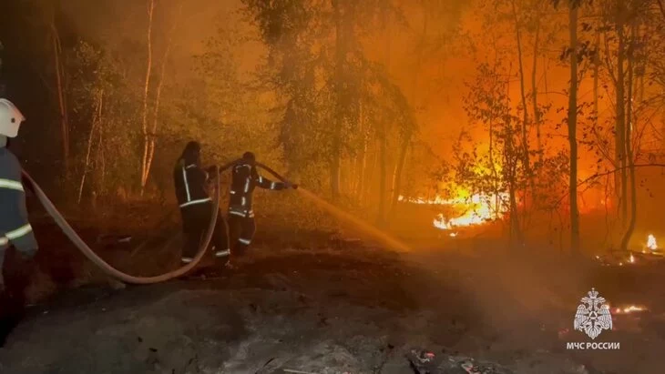 Пожар в районе воронежского села Ямное локализован на 50 га Пожар в районе воронежского села Ямное локализован на 50 га
