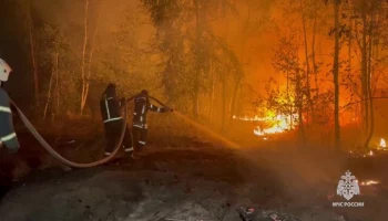 Пожар в районе воронежского села Ямное локализован на 50 га