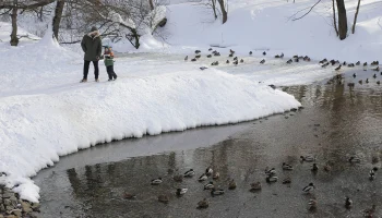 Синоптики пообещали москвичам ясную погоду без осадков 26 февраля