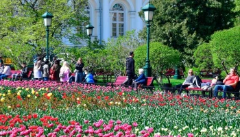 Кремль и Александровский сад украсили цветами к майским праздникам