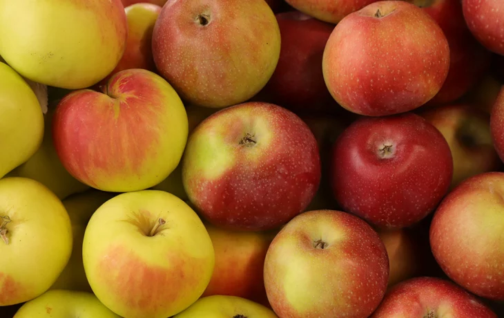 Сидр подорожает в России из-за неурожая яблок Сидр подорожает в России из-за неурожая яблок