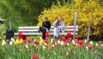 Синоптик Шувалов рассказал, когда тепло вернется в Москву