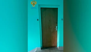 Около 20 кошек заперты в квартире дома в Красностуденческом проезде Москвы