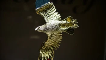 Стали известны победители премии "Золотой орел"