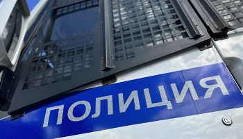 СМИ: На высадившую кота Твикса проводницу завели уголовное дело