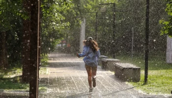 Тополиная метель ожидается в Москве в ближайшие дни